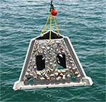 artifical reef